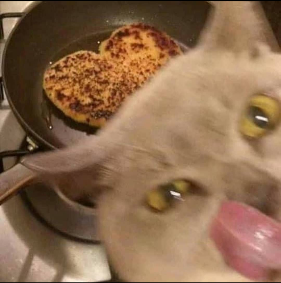 pan cat